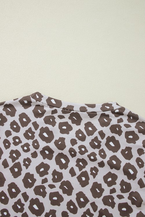 Brown Leopard Color Block Crewneck Long Sleeve Top